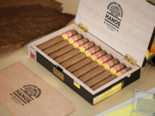 Hanos 52 được lấy cảm hứng từ thủ đô Hà Nội