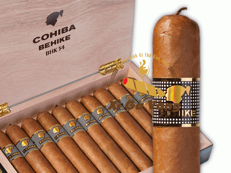 Behike-54-mo-ta xì gà behike 54