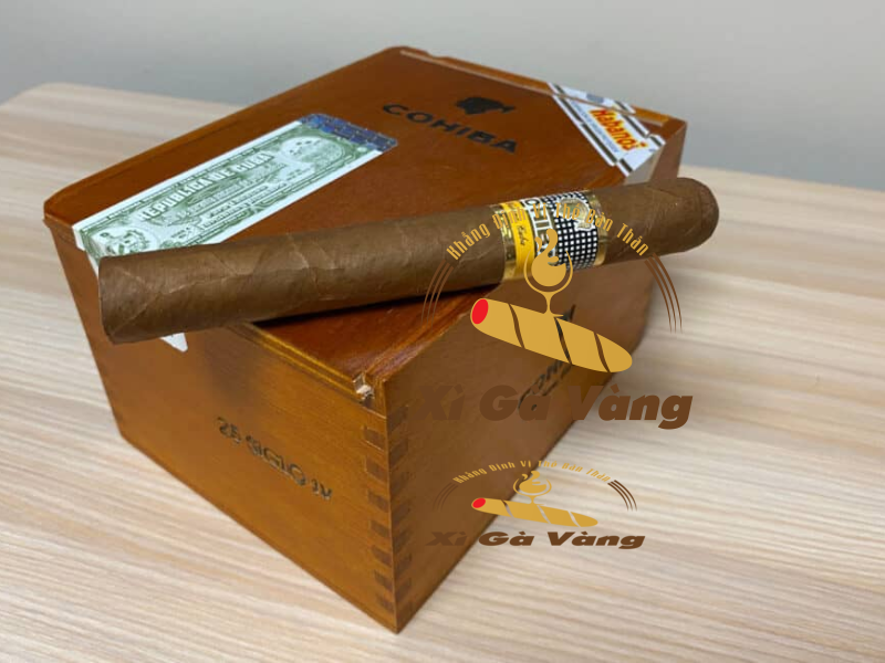 Dieu-Cohiba-siglo-4 Điếu xì gà siglo 4
