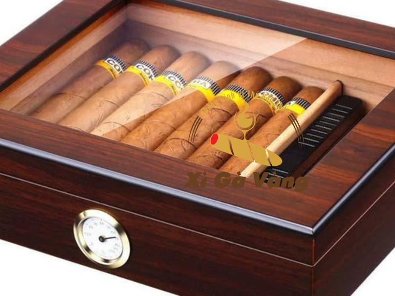 Hướng dẫn bảo quản cigar Noncuba đúng cách
