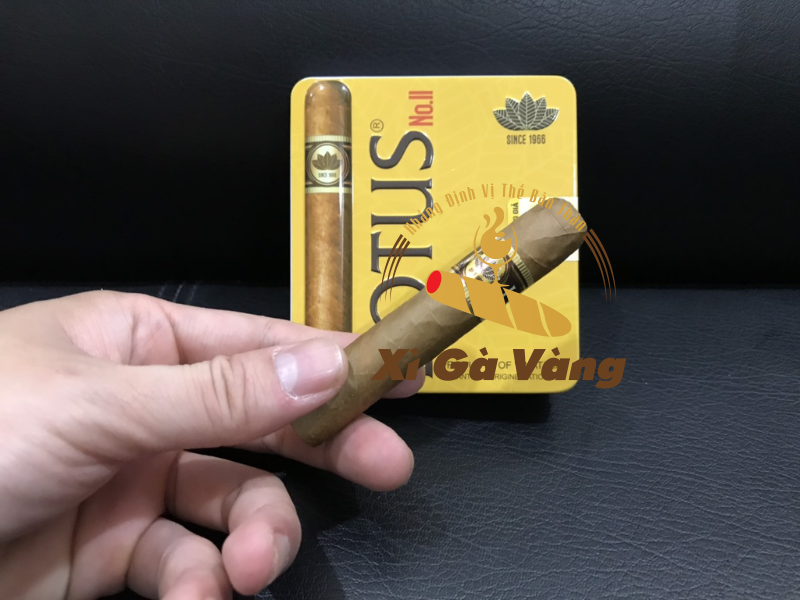Cigar Lotus No2 - sự lựa chọn của rất nhiều người