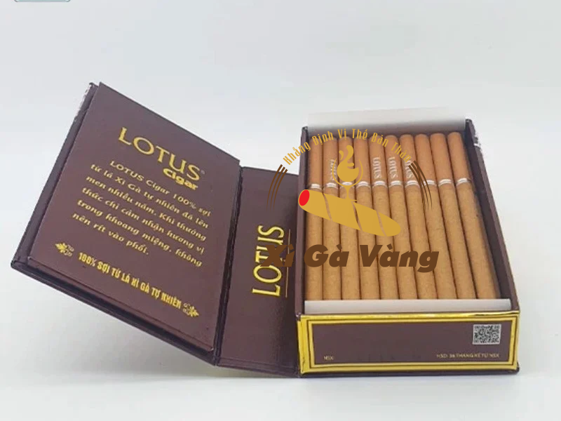 Cigar Lotus 30 điếu phù hợp cho người mới sử dụng