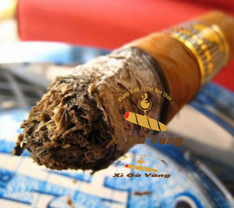 cohiba-behike-52-chay-xen Xì gà Cohiba behike 52 cháy