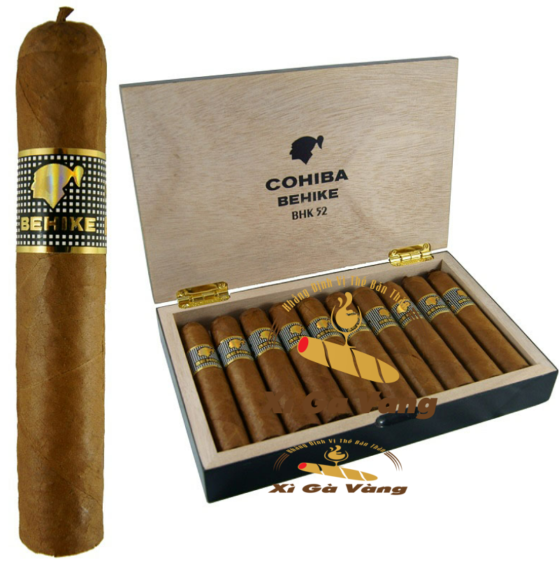 Cigar Cohiba behike 52 được nhiều dân chơi yêu thích