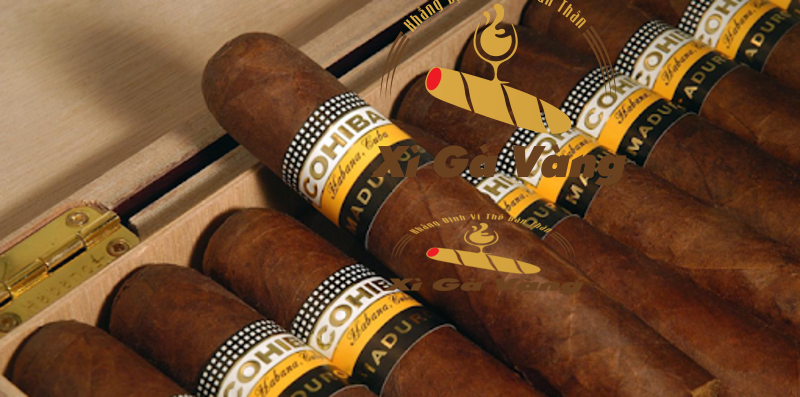 mua-cohiba-siglo-3 An tâm khi mua cigar