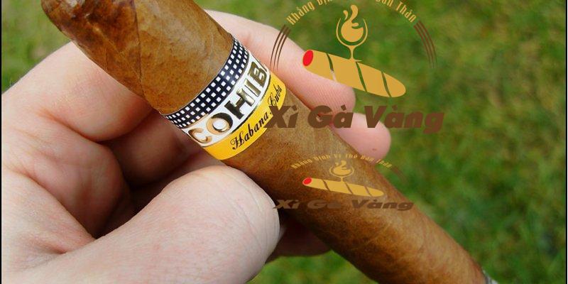 dia-chi-ban-cohiba-siglo-2 Cung cấp Siglo 2 chất lượng