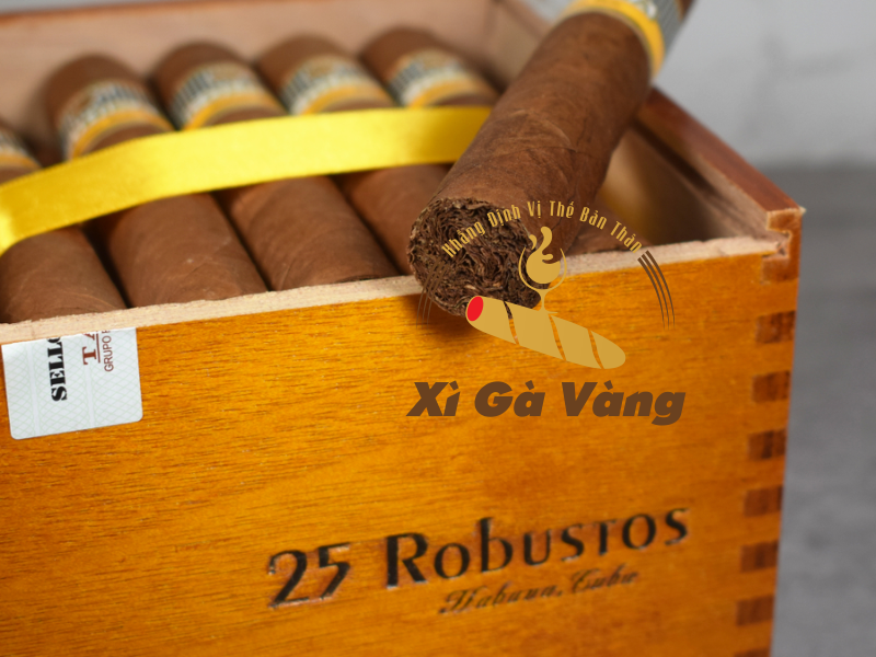 danh-gia-cohiba-robusto xì gà Cohiba Robusto