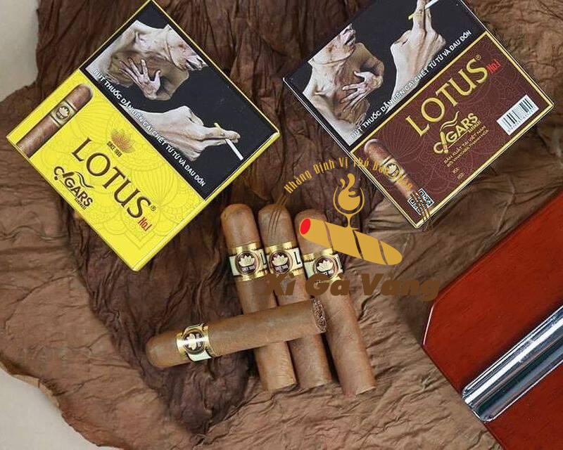 2 loại cigar Lotus - No1 có hương vị khác nhau