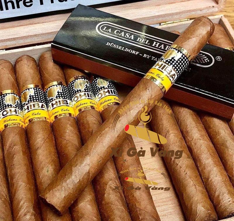 Những điếu cigar Cohiba tròn trịa, phẳng phiu