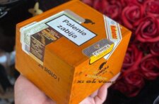 Cung cấp xì gà Cohiba chính hãng