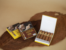 Mua xì gà Lotus chính hãng