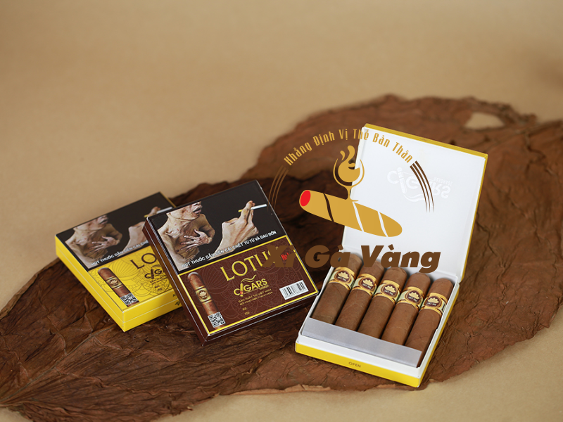 mua-xi-ga-lotus-o-dau Mua xì gà Lotus chính hãng