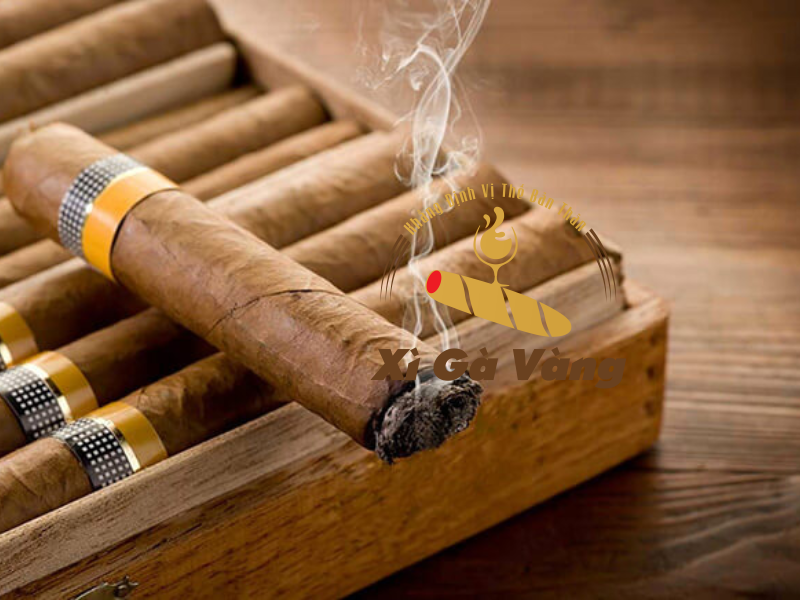 Xì gà mang hương vị riêng của từng vùng