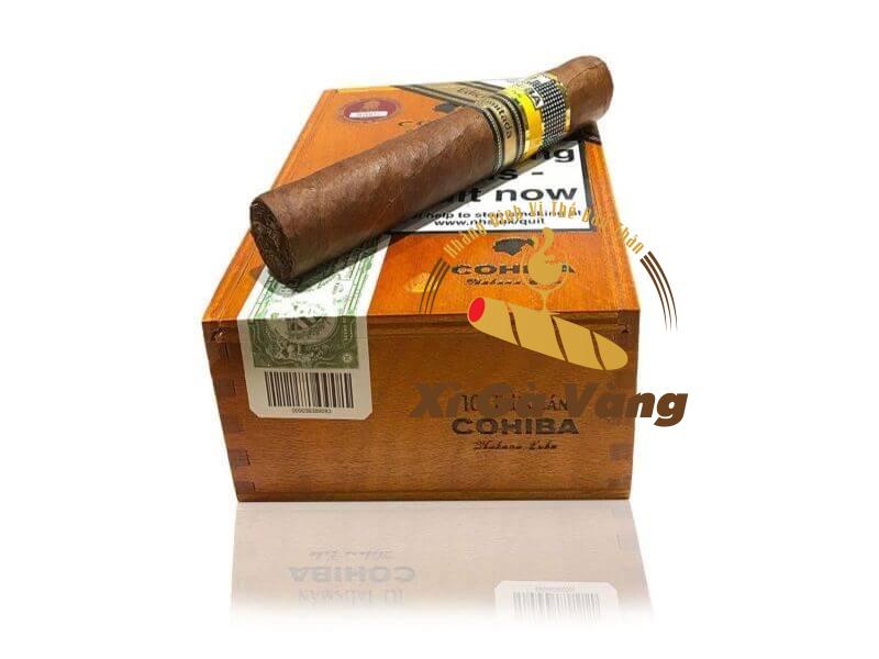 thiet-ke-cua-talisman Thiết kế của Talisman