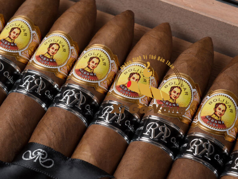 Xì gà Bolivar – những tầng hương đầy xúc cảm