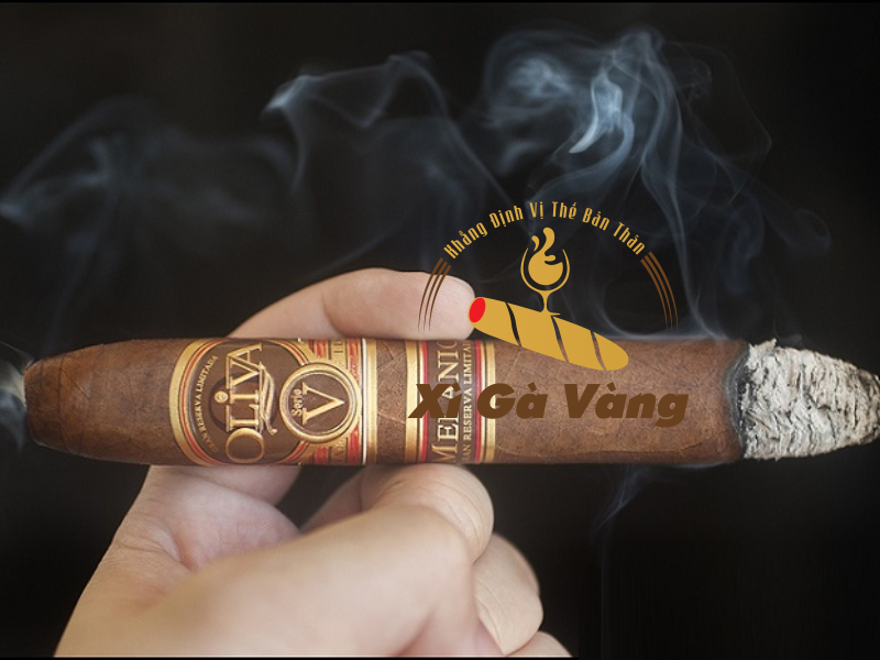 Trải nghiệm xì gà Cuba cao cấp tại Xì Gà Vàng