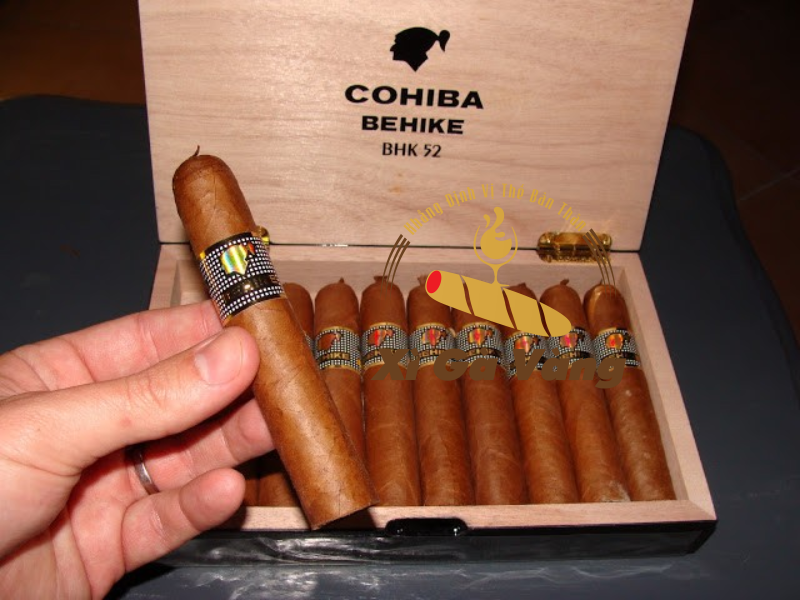 Xì gà Cohiba nổi tiếng trên toàn thế giới