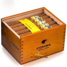 Cigar Siglo 2
