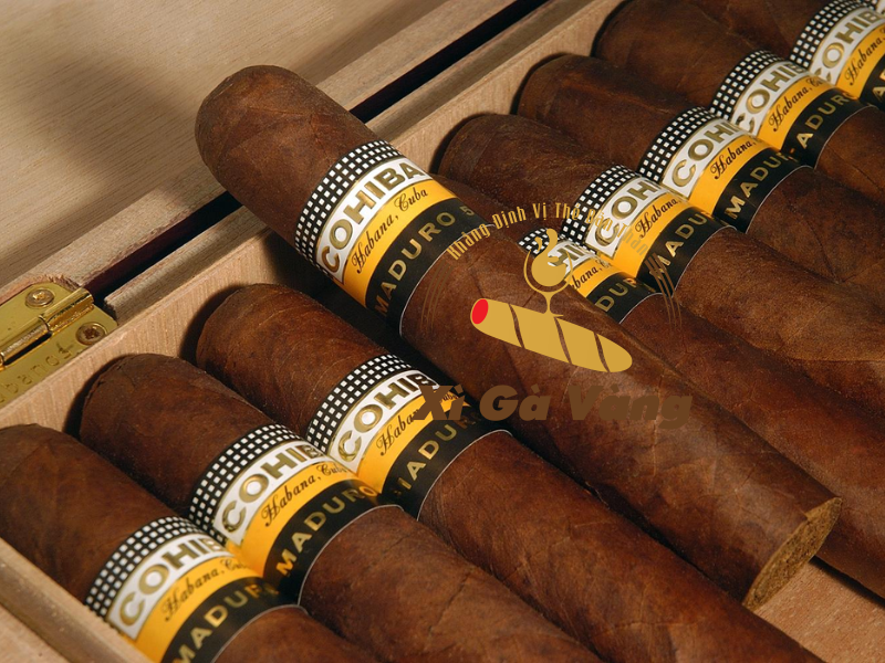 Xì gà Cuba thơm ngon, hảo hạng tốt nhất thế giới