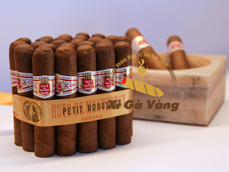 Hoyo De Monterrey là một trong những thương hiệu xì gà Cuba lâu đời nhất