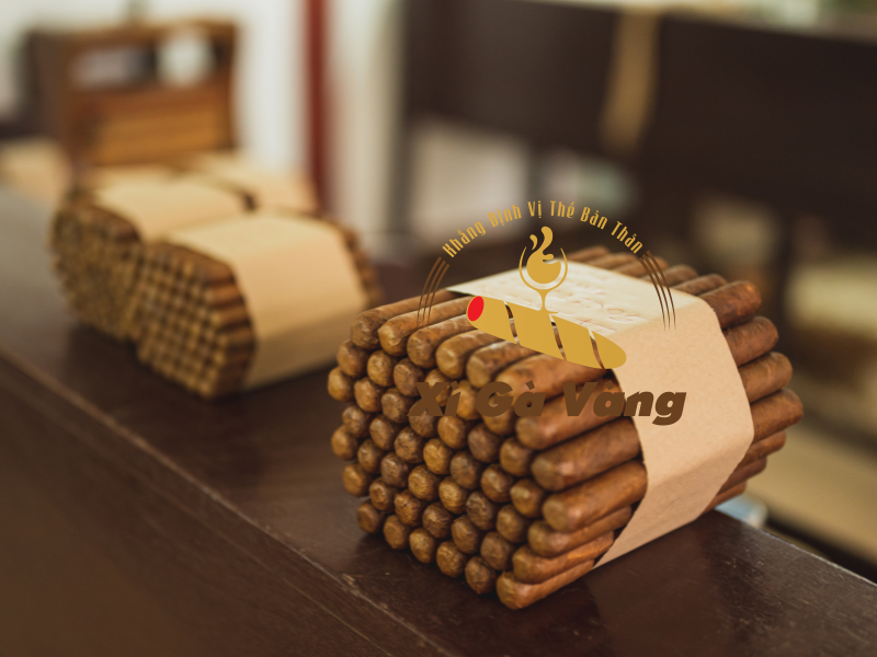 Xì gà Lotus - cigar Việt của người Việt 