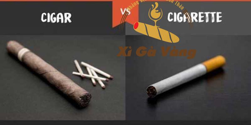 so sánh cigar và thuốc lá