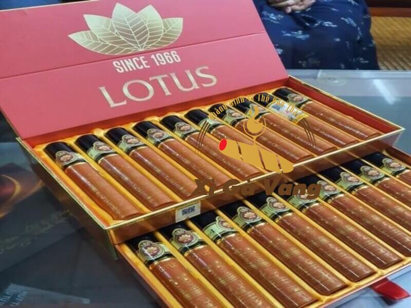 Lotus No5 là món quà ý nghĩa và sang trọng