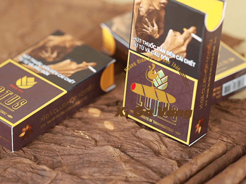 Cigar-Lotus-club-1 xì gà lotus club 1