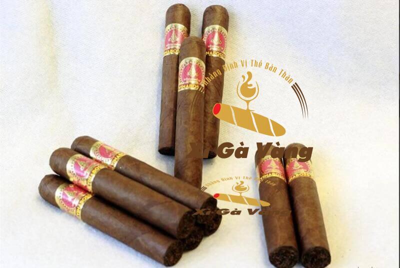 Cigar-Vinaboss-Pyramides-52-dau-nhon-3 Giá cigar Vinaboss
