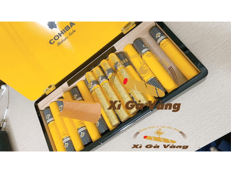 cohiba-siglo-6-dat-vang Điếu Cohiba Siglo 6 dát vàng trong hộp sơn mài