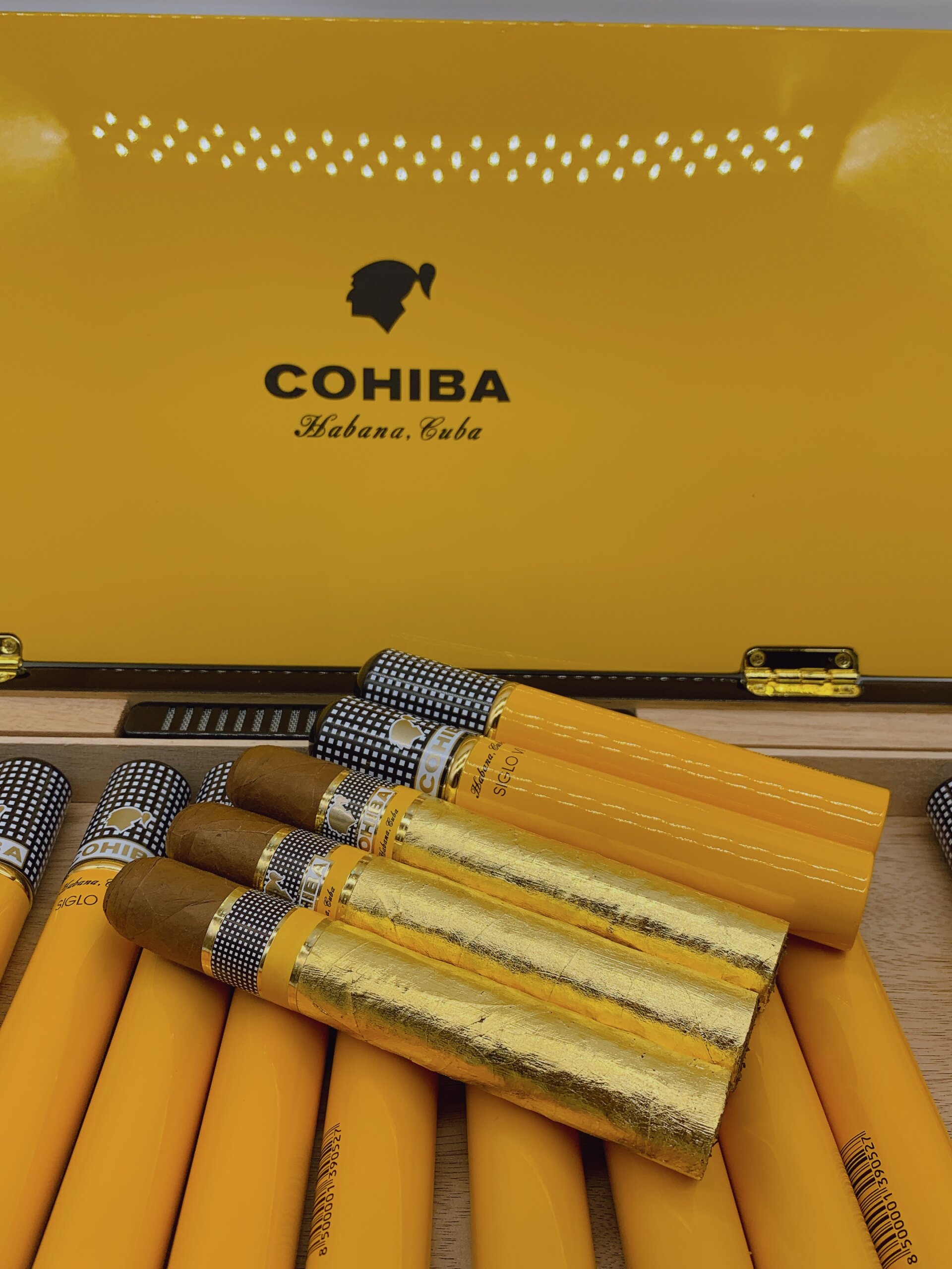 Siglo-6-tubos-dat-vang2 siglo 6 tubos dat vang 24k