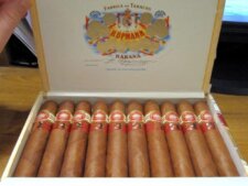 Những điếu xì gà H.Upmann Royal Robustos LCDH