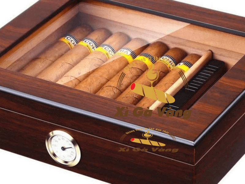 Hướng dẫn bảo quản cigar Non Cuba đúng cách