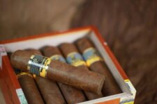 Cung cấp xì gà Vinaboss Robusto Supremo chất lượng