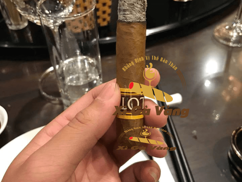 co-nen-mua-xi-ga-lotus Lotus No2 hương vị