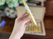 Cigar Davidoff Premium Selection 12 dát vàng