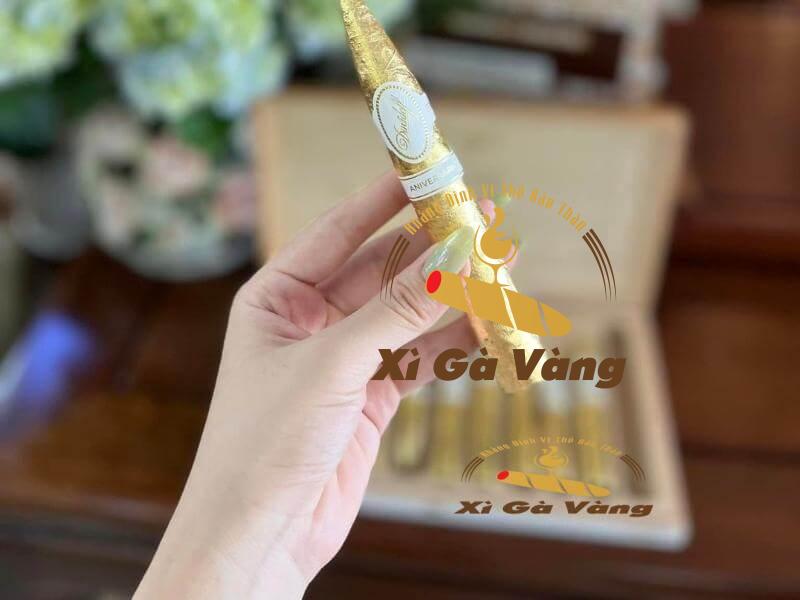 danh-gia-cau-truc-cigar-davidoff Cigar Davidoff Premium Selection 12 dát vàng