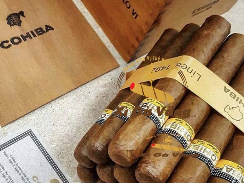 Đánh thức mọi giác quan cùng cigar Cohiba Siglo VI 25 điếu