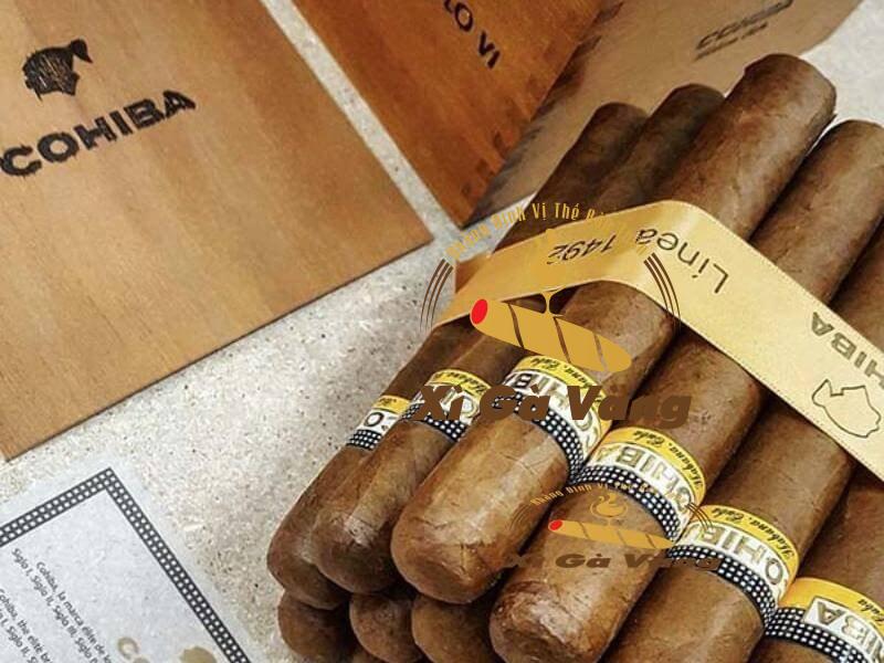 danh-gia-huong-vi-san-pham Cigar Cohiba Siglo VI 25 điếu