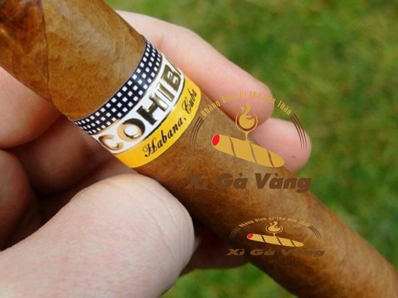 danh-gia-huong-vi-xi-ga hương vị xì gà Siglo 4 Tubos