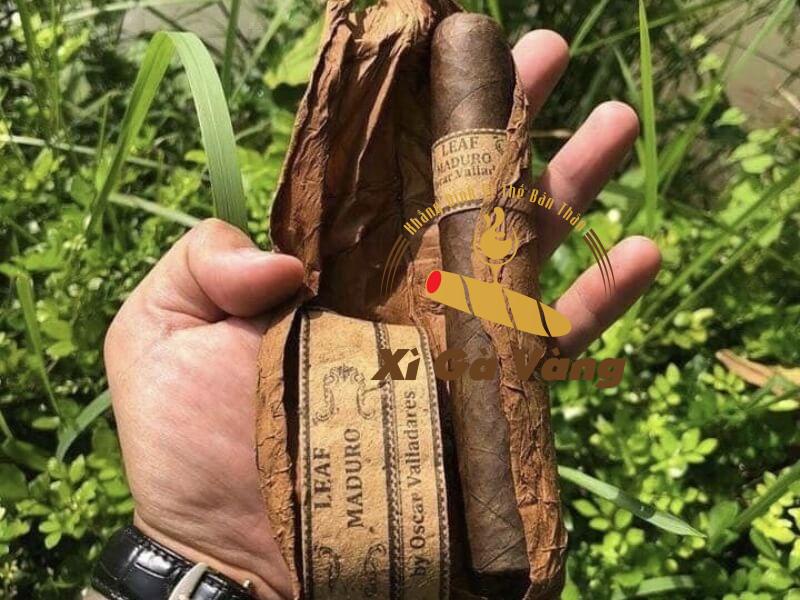 Xì gà Leaf By Oscar 60 Maduro gây ấn tượng bởi vẻ ngoài độc đáo