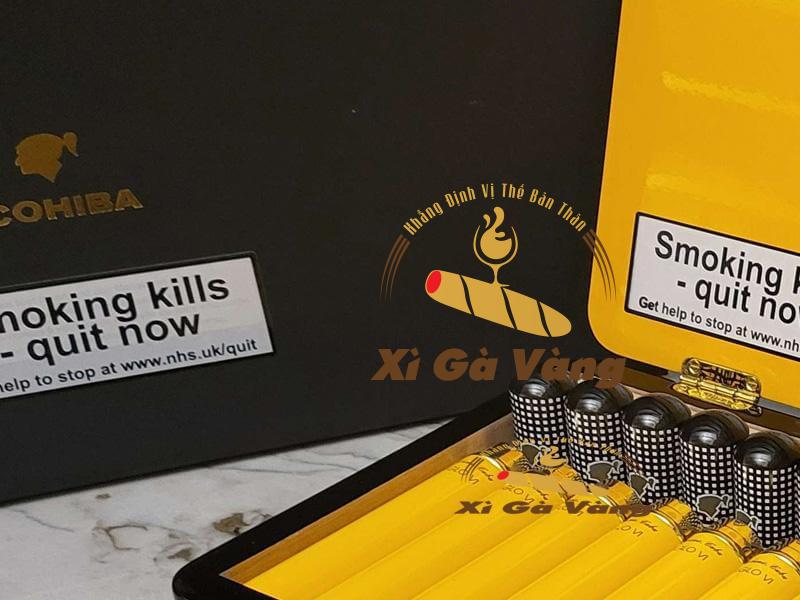 dia-chi-ban-Cohiba-siglo-6-son-mai Xì Gà Vàng - Phân phối xì gà chính hãng