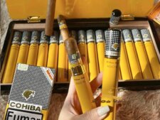 Xì gà Cohiba Siglo 6 sơn mài