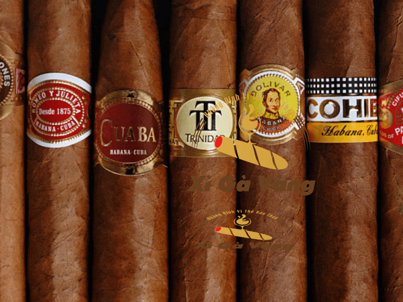 Một số thương hiệu cigar Cuba nổi tiếng