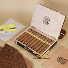 xì gà hanos 56 có 10 điếu