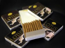 Cigar Lotus Mini 10 điếu
