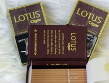 Hương vị xì gà Lotus 30 điếu
