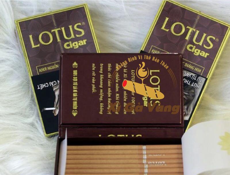 Hương vị đặc trưng thơm ngon từ Cigar Lotus 30 điếu
