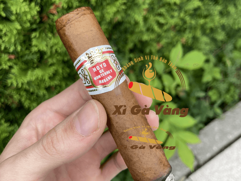 Cigar Hoyo De Monterrey Petit Robusto có kết cấu đẹp