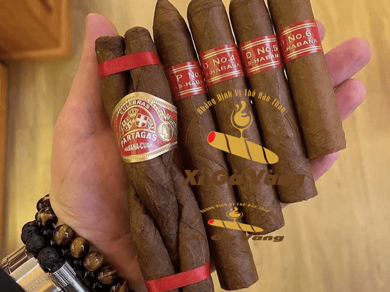 Địa chỉ bán cigar Cuba uy tín